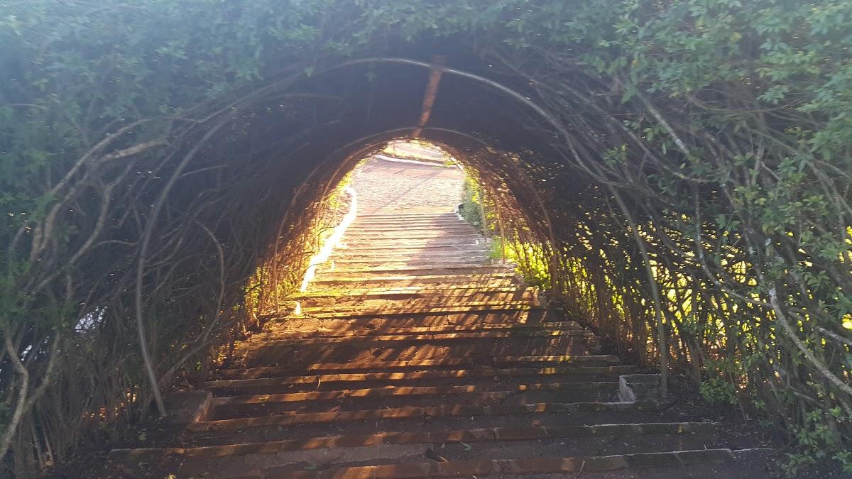 Registro de marca em Guarani das Missões, Rio Grande do Sul