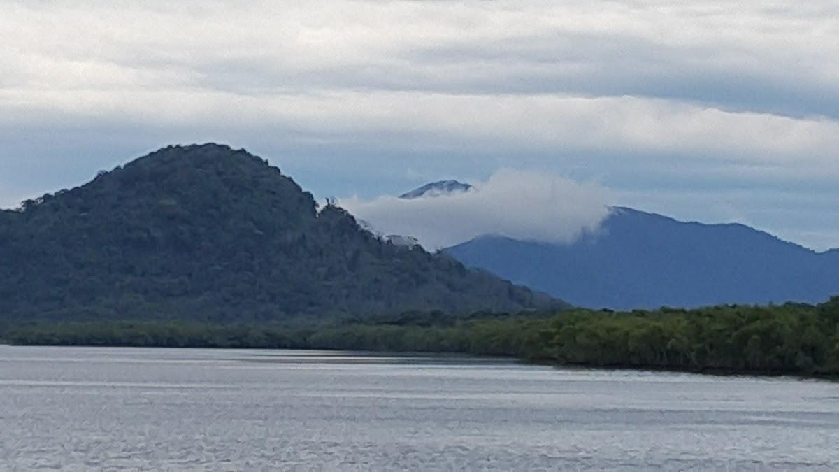 Registro de marca em Guaraqueçaba, Paraná
