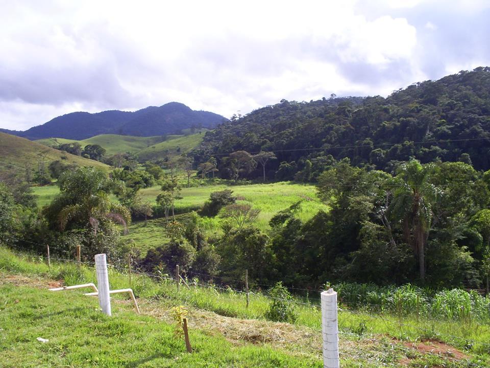 Registro de marca em Guarará, Minas Gerais
