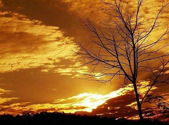 Registro de marca em Guarujá do Sul, Santa Catarina