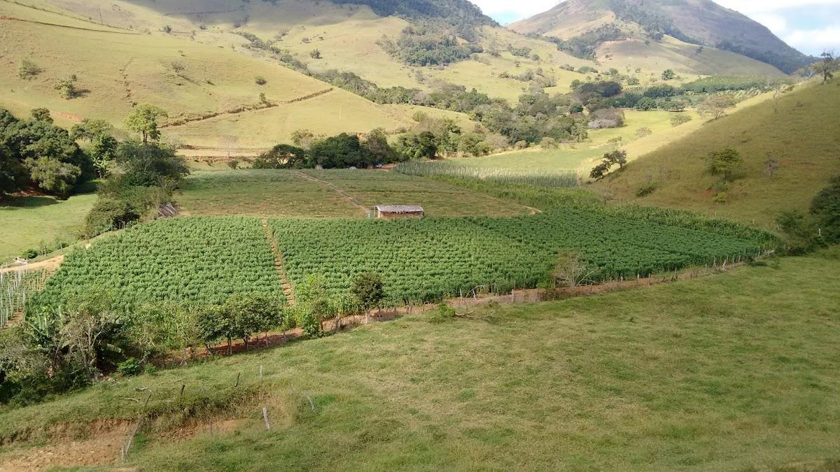 Registro de marca em Guidoval, Minas Gerais