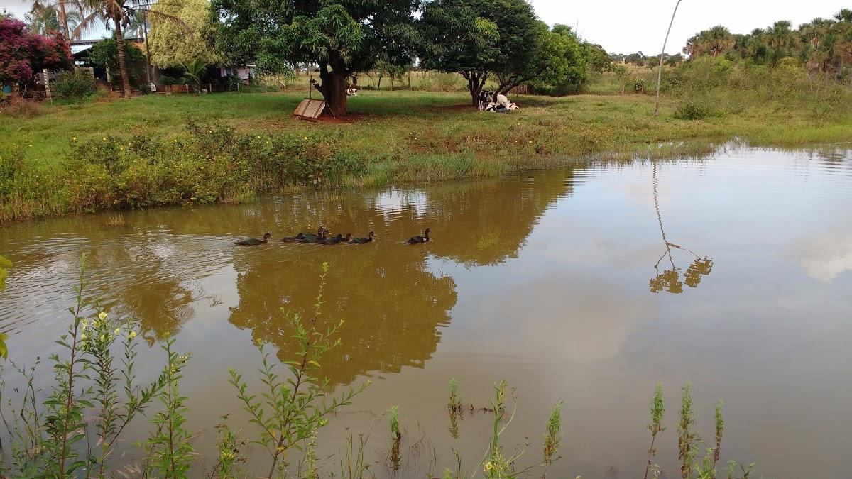Registro de marca em Gurinhatã, Minas Gerais