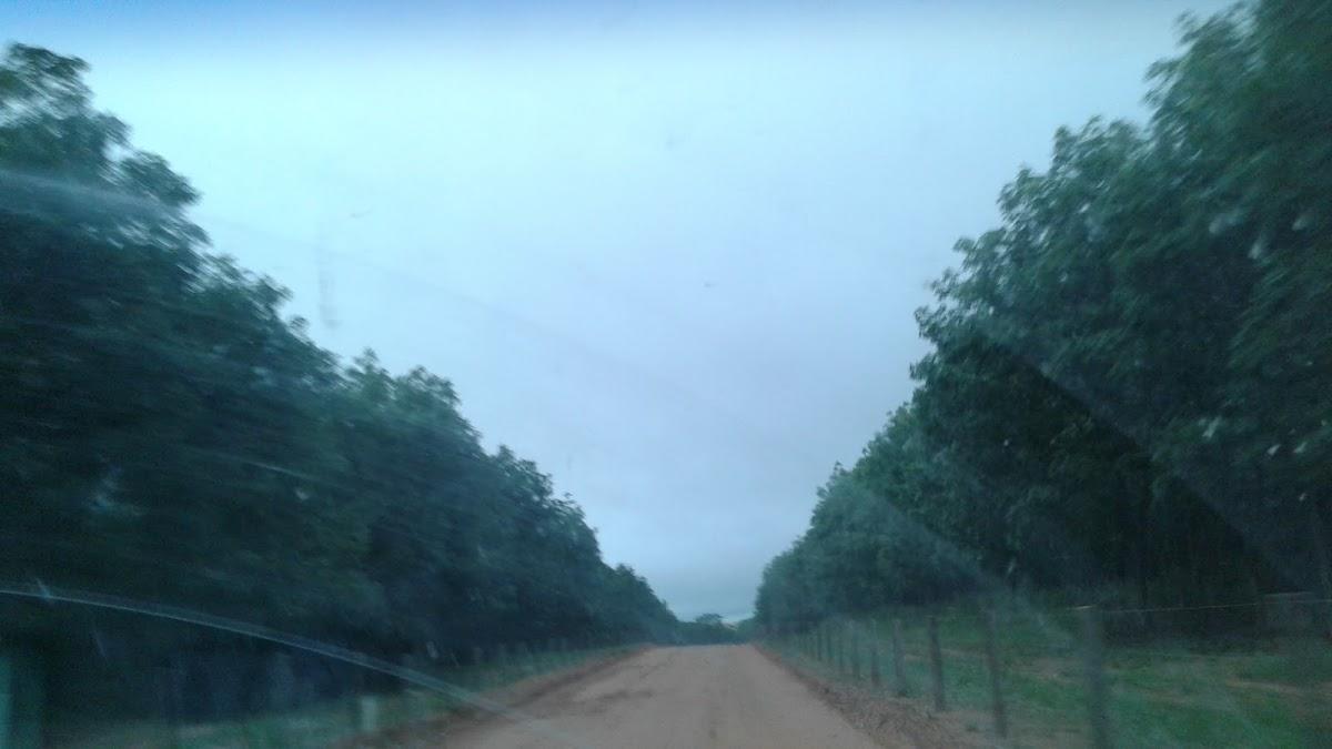 Registro de marca em Guzolândia, São Paulo