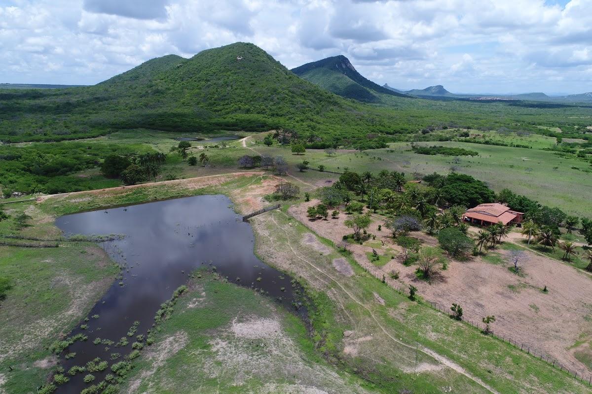 Registro de marca em Ibaretama, Ceará