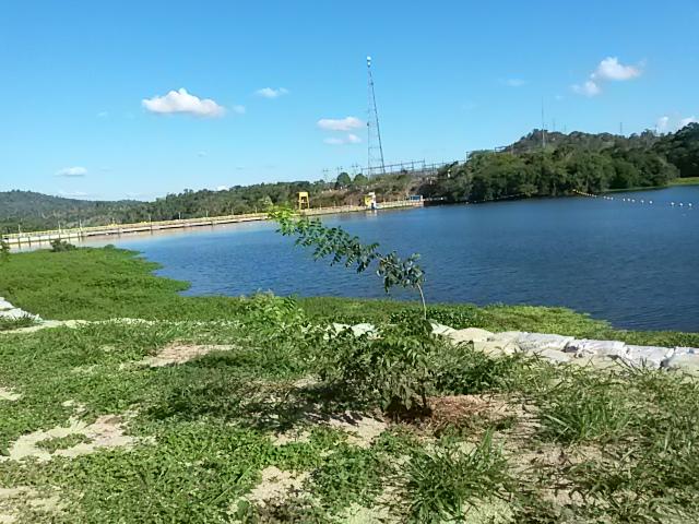 Registro de marca em Ibirapitanga, Bahia