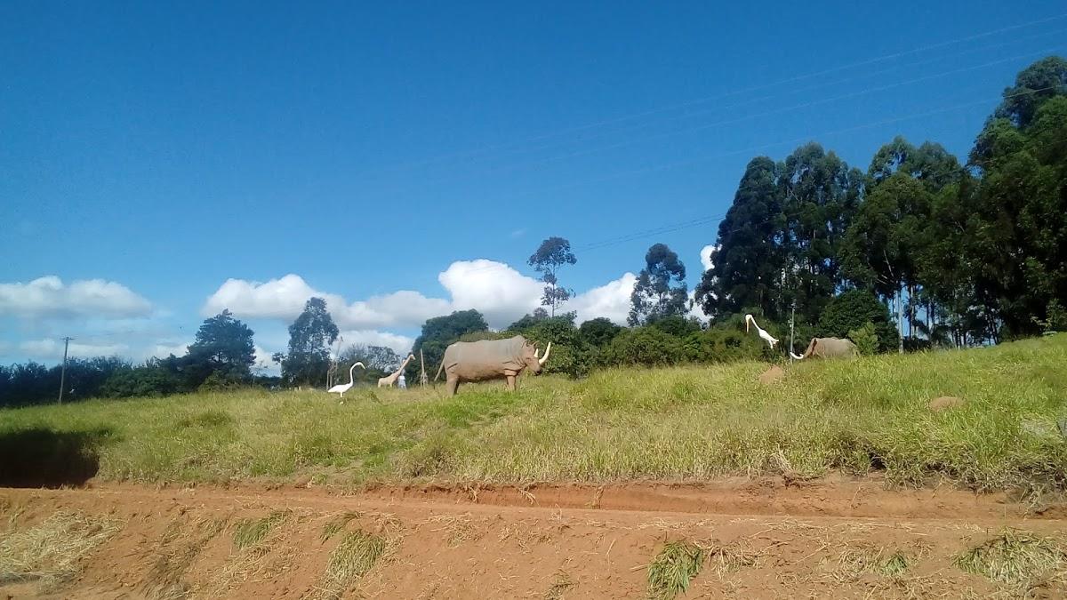 Registro de marca em Ibitiúra de Minas, Minas Gerais
