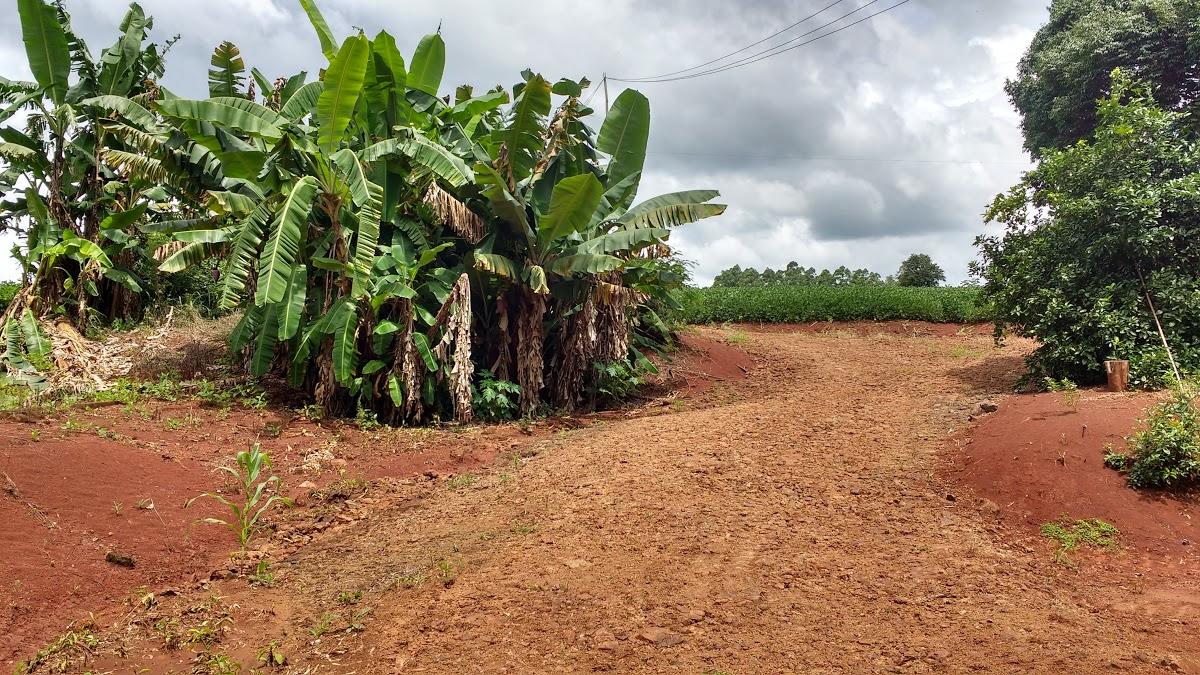 Registro de marca em Iguatu, Paraná