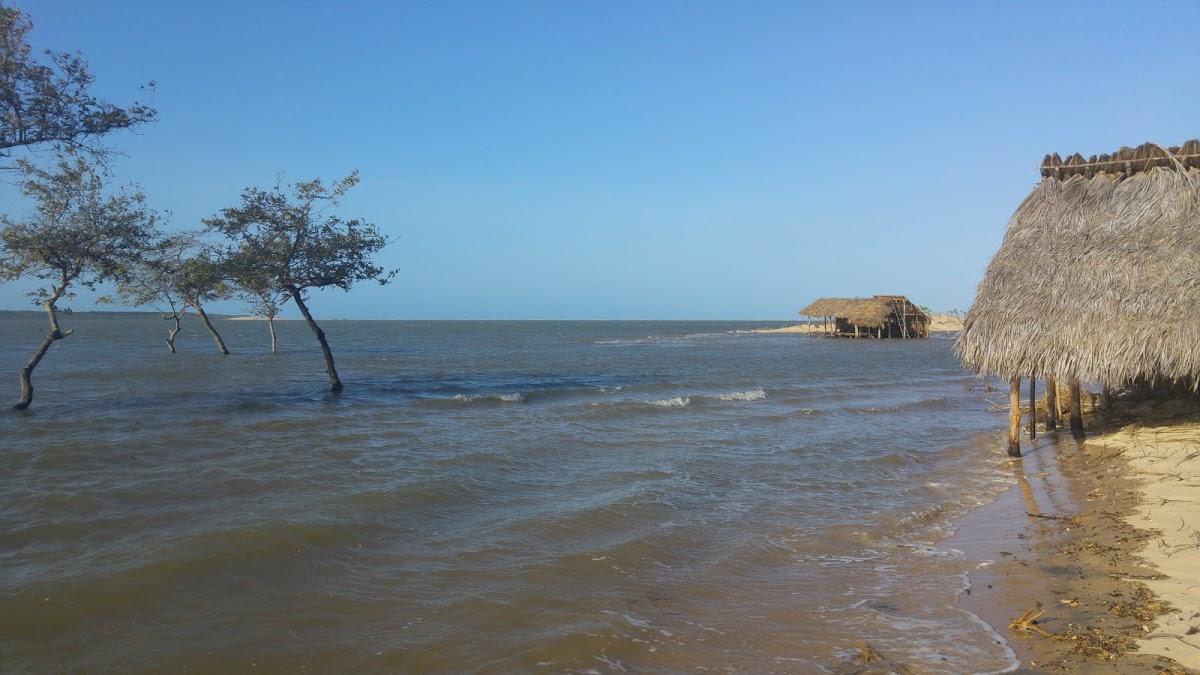 Registro de marca em Ilha Grande, Piauí