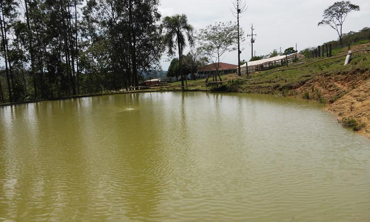 Registro de marca em Imbaú, Paraná