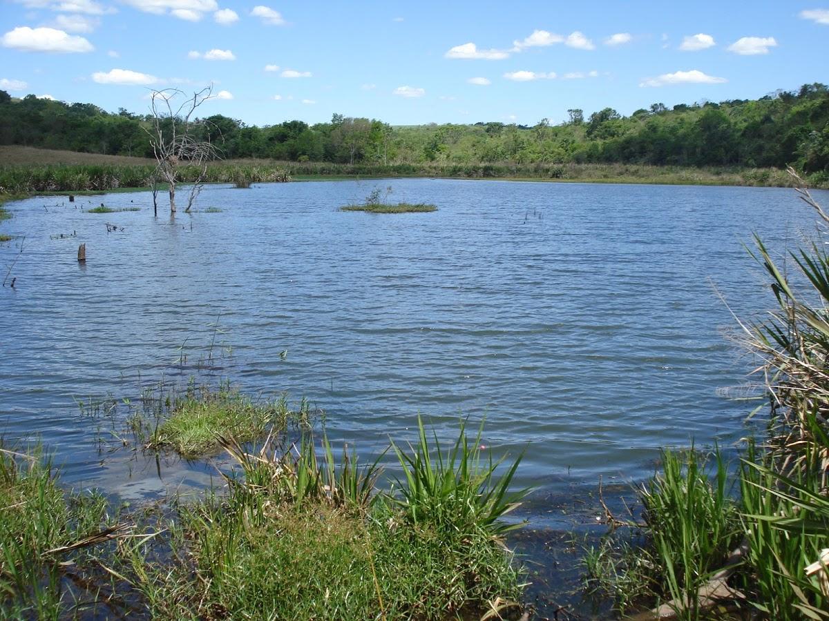 Registro de marca em Indianópolis, Paraná