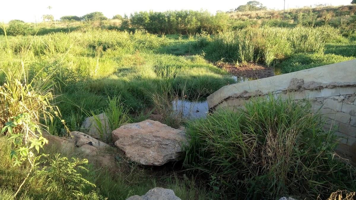 Registro de marca em Indiara, Goiás