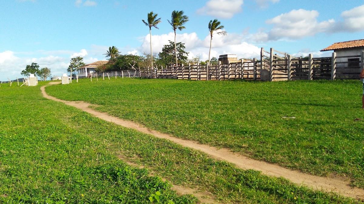 Registro de marca em Ipecaetá, Bahia