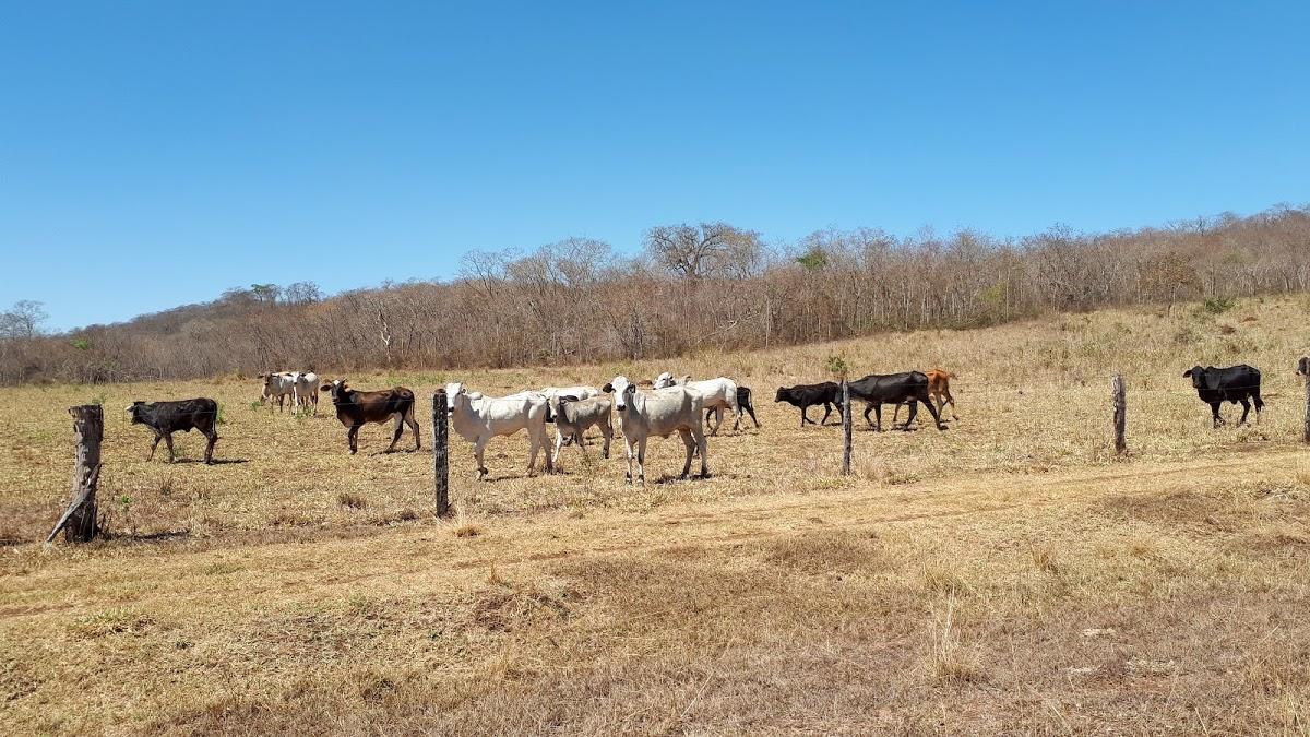 Registro de marca em Ipiaçu, Minas Gerais