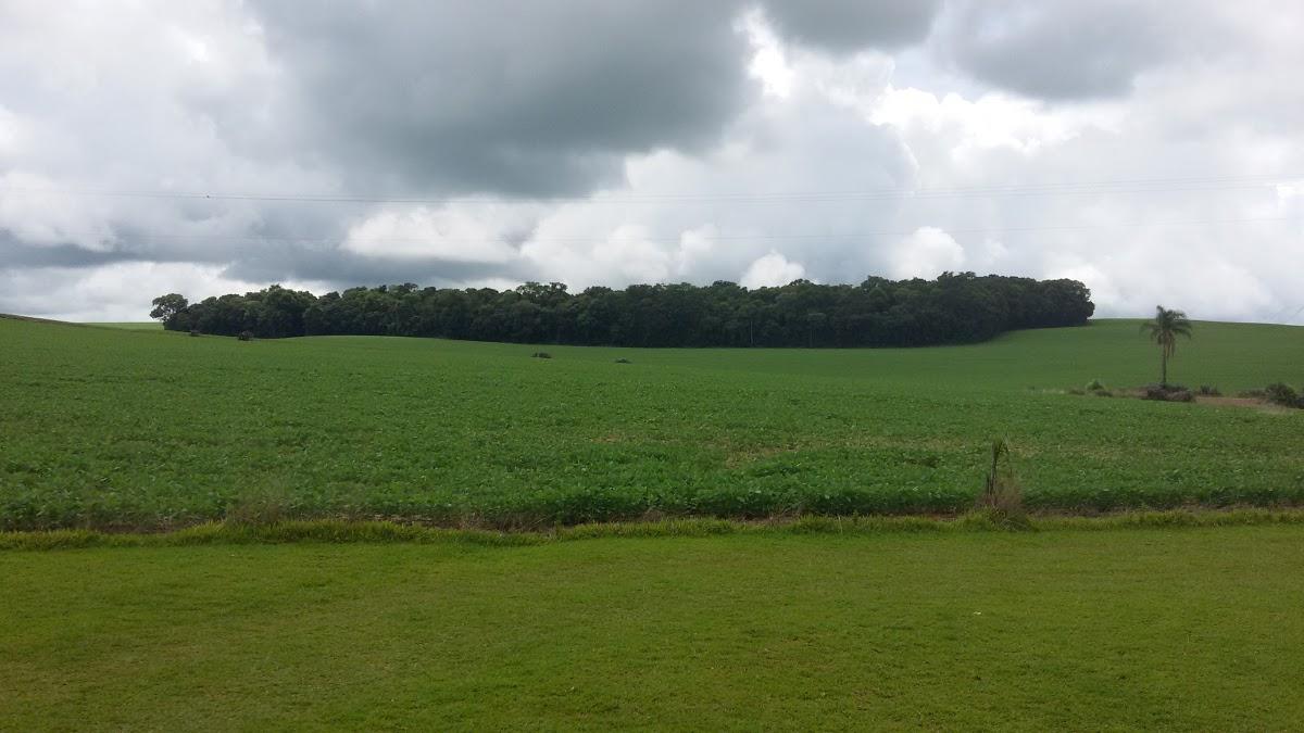 Registro de marca em Ipiranga do Sul, Rio Grande do Sul