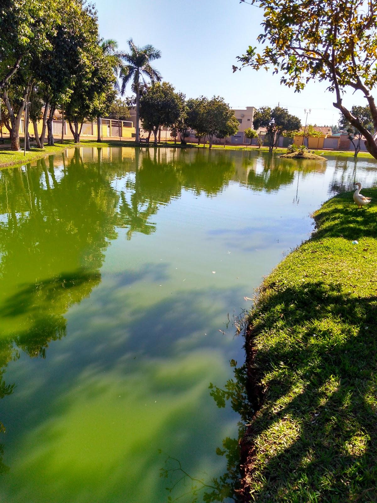 Registro de marca em Itaberaí, Goiás