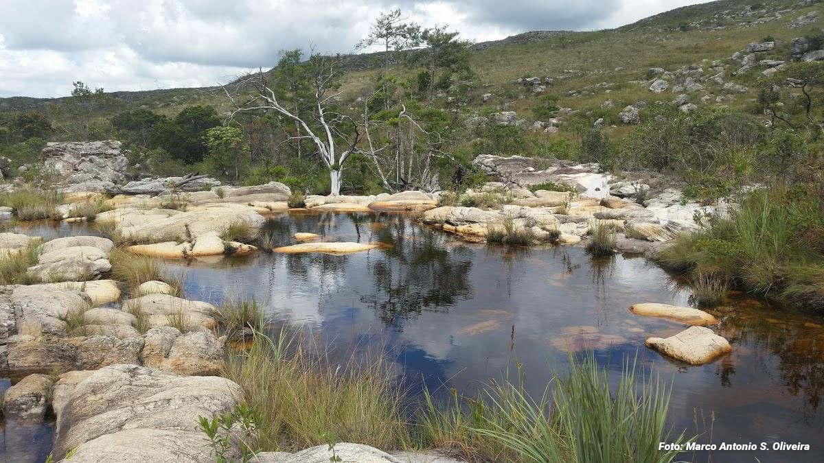 Registro de marca em Itacambira, Minas Gerais