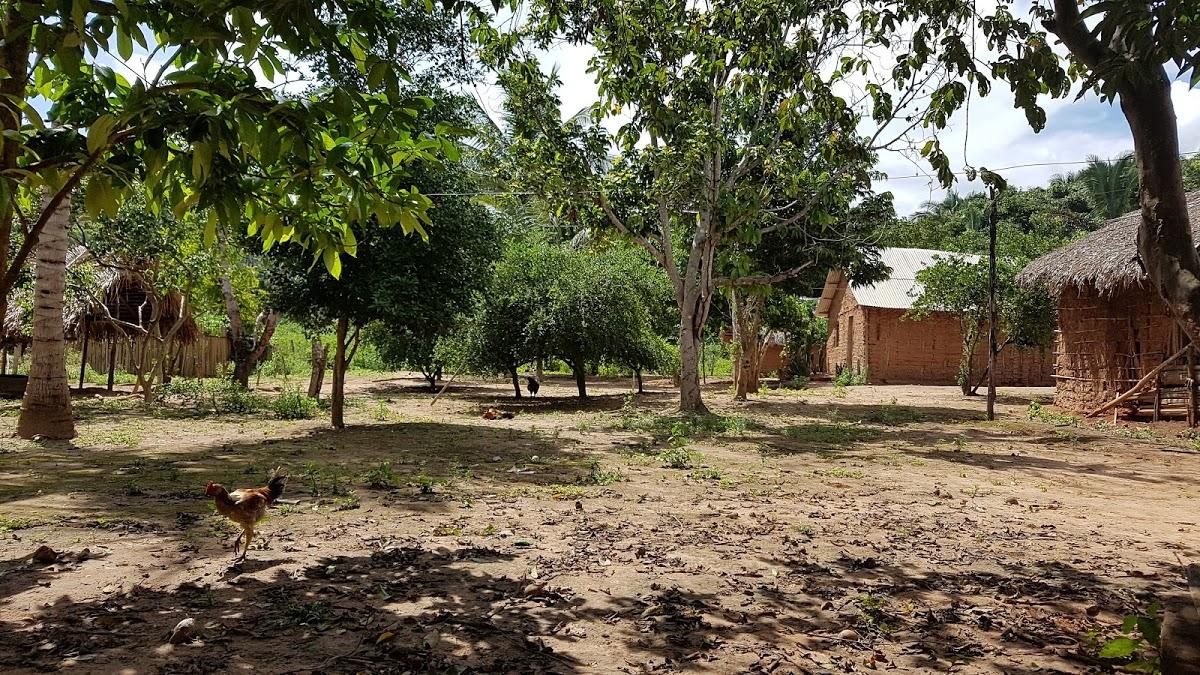 Registro de marca em Itaipava do Grajaú, Maranhão