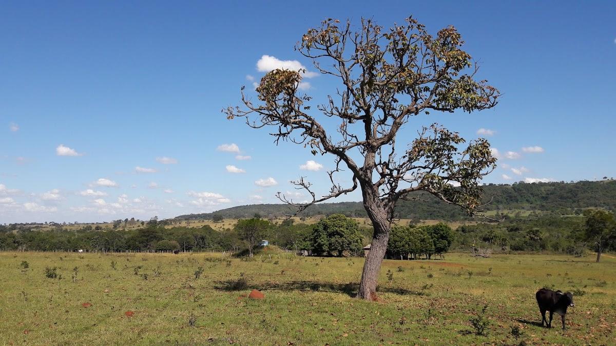 Registro de marca em Itajá, Goiás