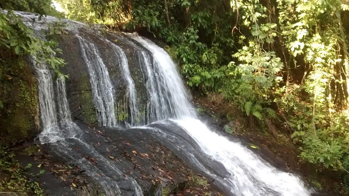Registro de marca em Italva, Rio de Janeiro