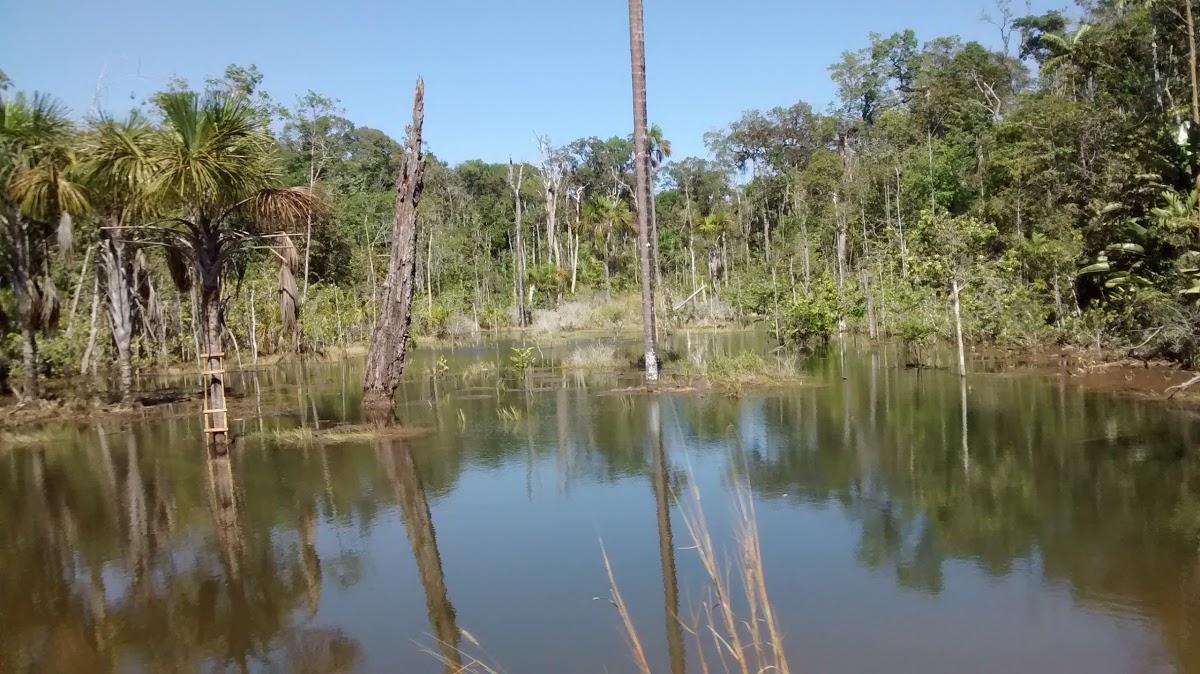 Registro de marca em Itanhangá, Mato Grosso