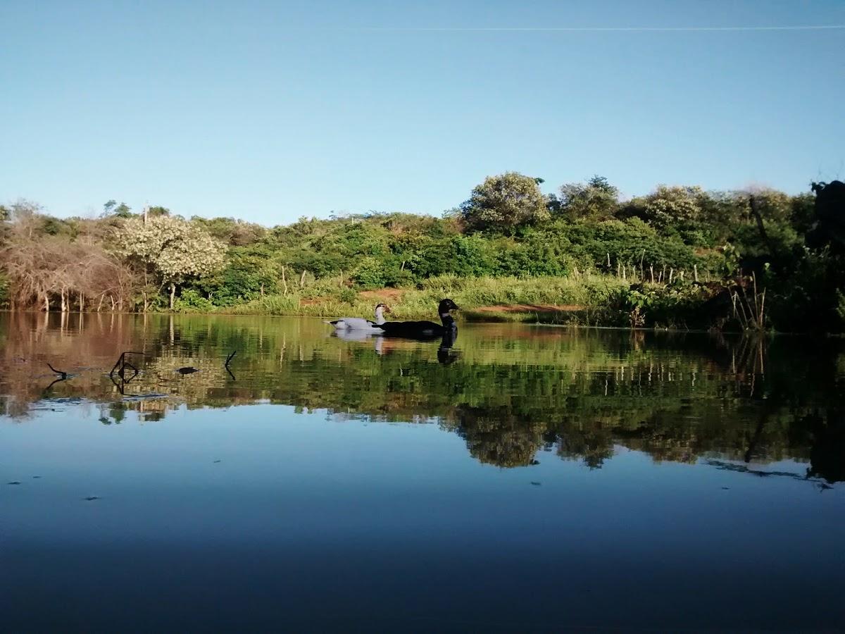 Registro de marca em Itapetim, Pernambuco