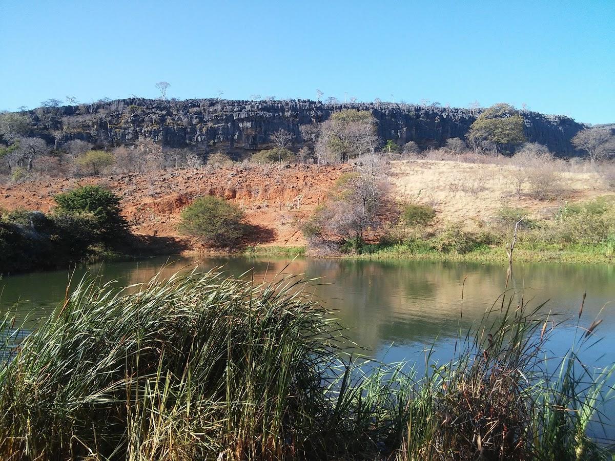 Registro de marca em Iuiu, Bahia