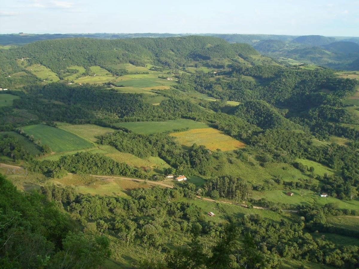 Registro de marca em Ivorá, Rio Grande do Sul