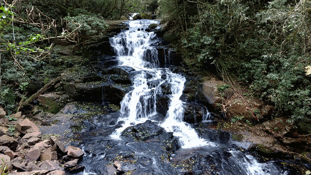 Registro de marca em Jaboticaba, Rio Grande do Sul