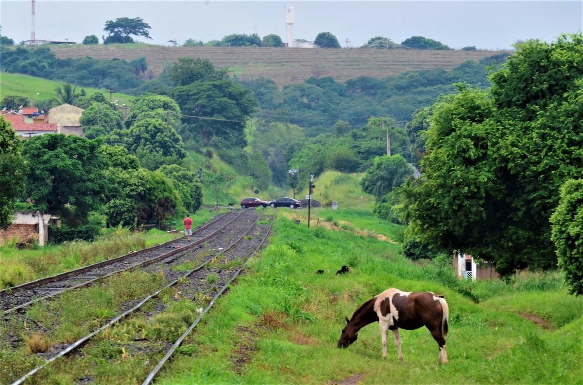 Registro de marca em Jales, São Paulo
