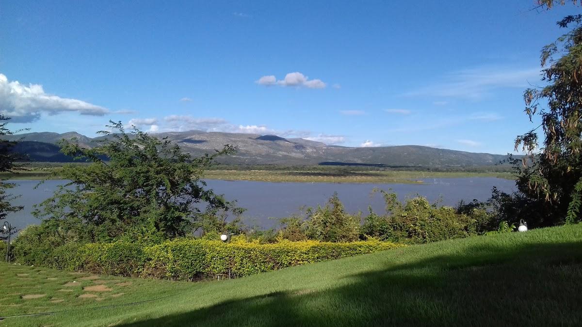 Registro de marca em Janaúba, Minas Gerais