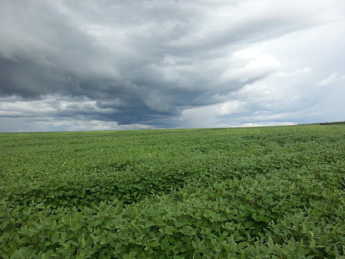Registro de marca em Jangada, Mato Grosso