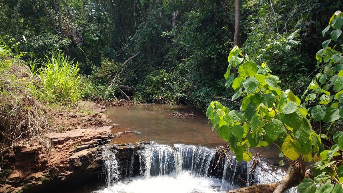 Registro de marca em Japurá, Paraná