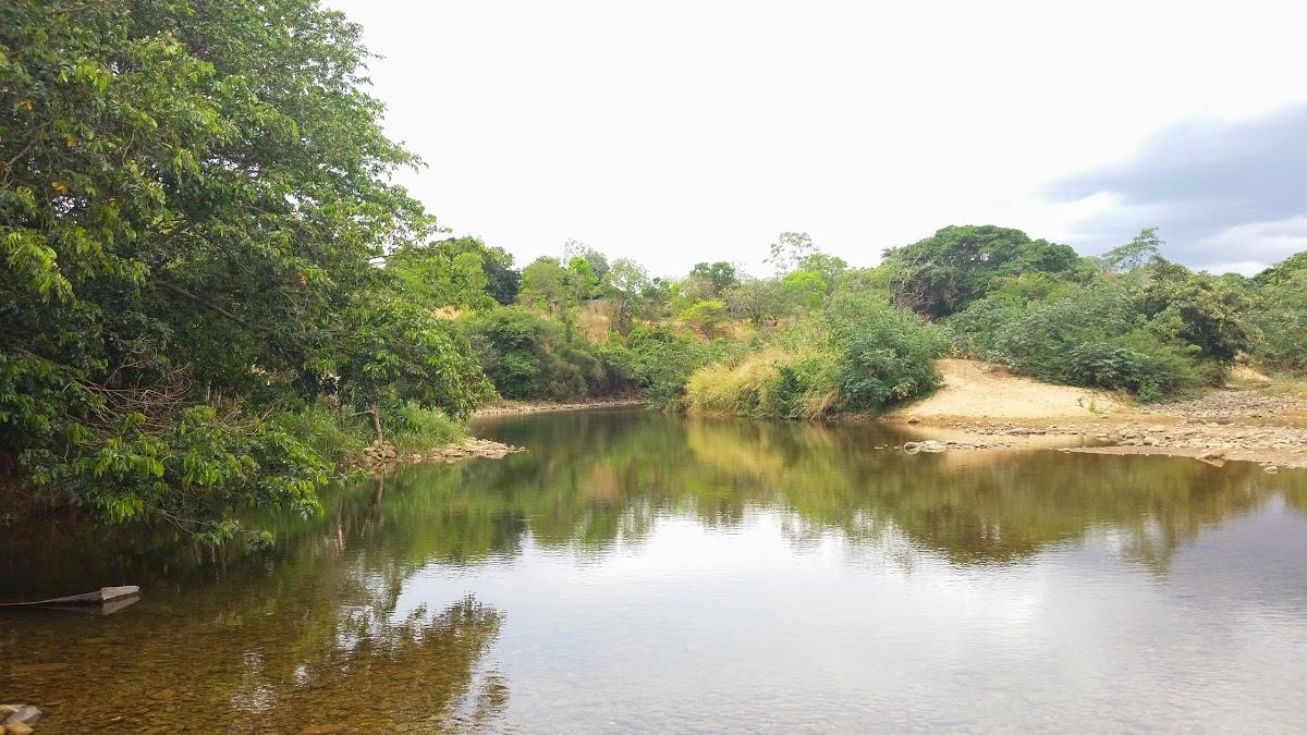 Registro de marca em Jequitaí, Minas Gerais