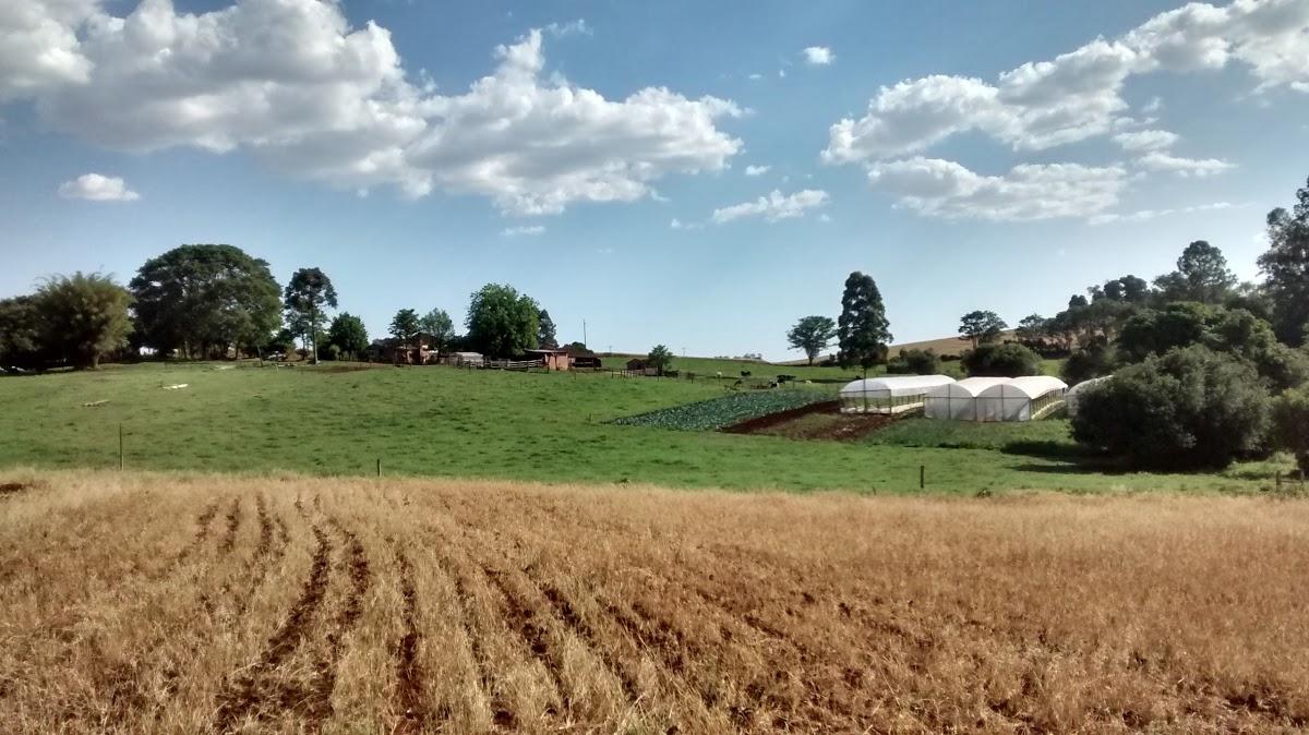 Registro de marca em Jóia, Rio Grande do Sul