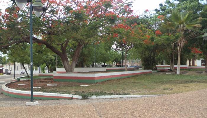 Registro de marca em José de Freitas, Piauí