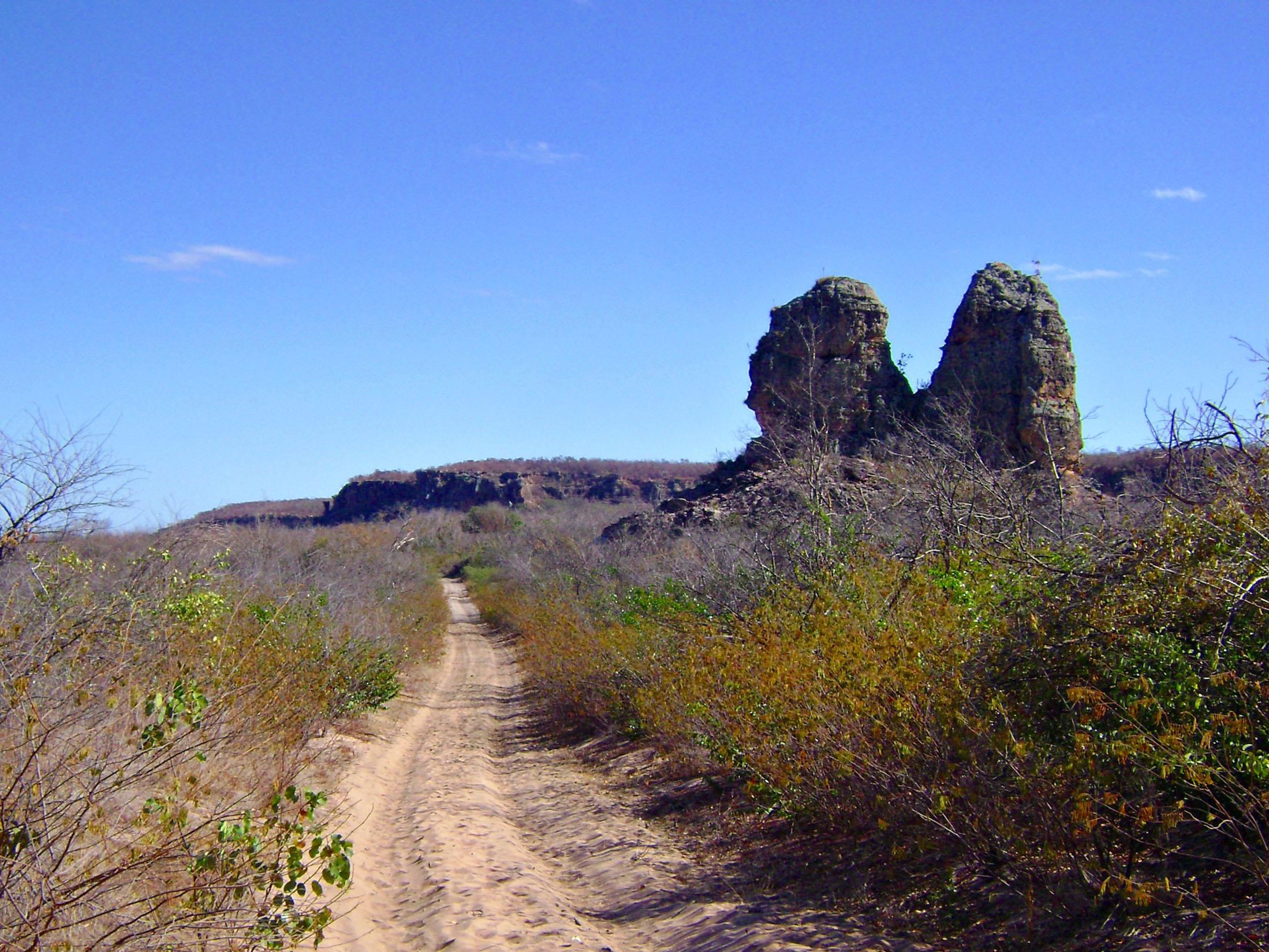 Registro de marca em Jurema, Piauí