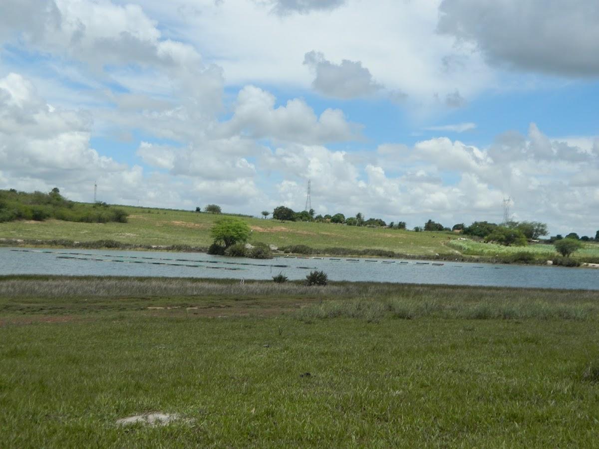Registro de marca em Lagoa d'Anta, Rio Grande do Norte