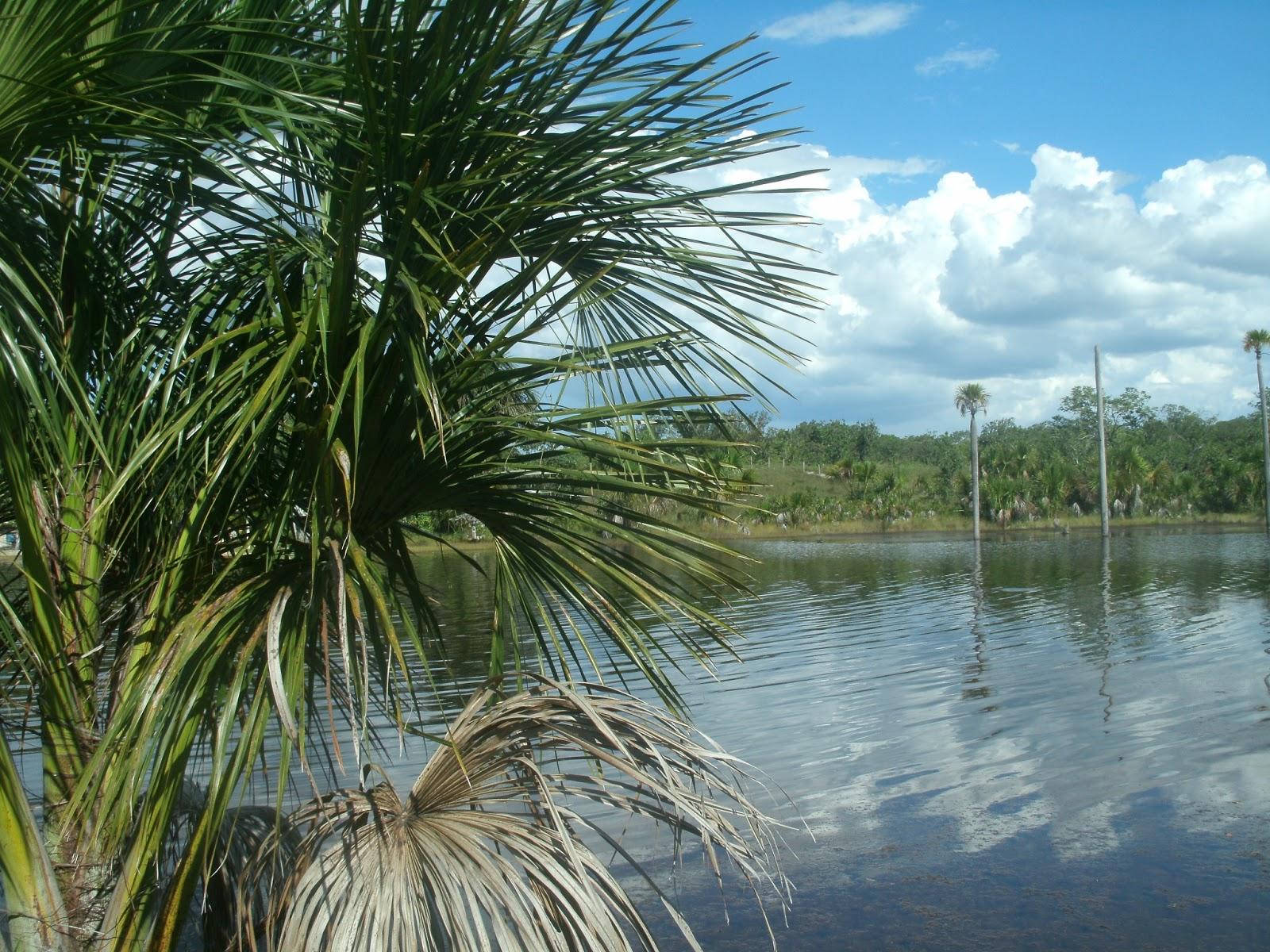 Registro de marca em Lagoa do Tocantins, Tocantins