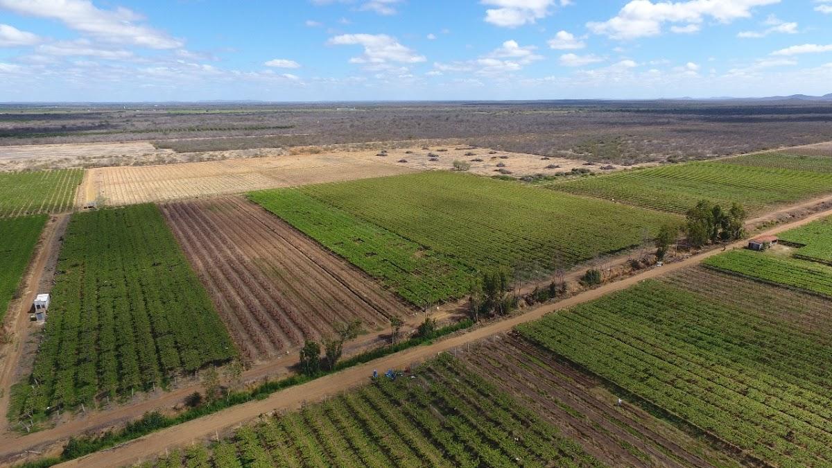 Registro de marca em Lagoa Grande, Pernambuco