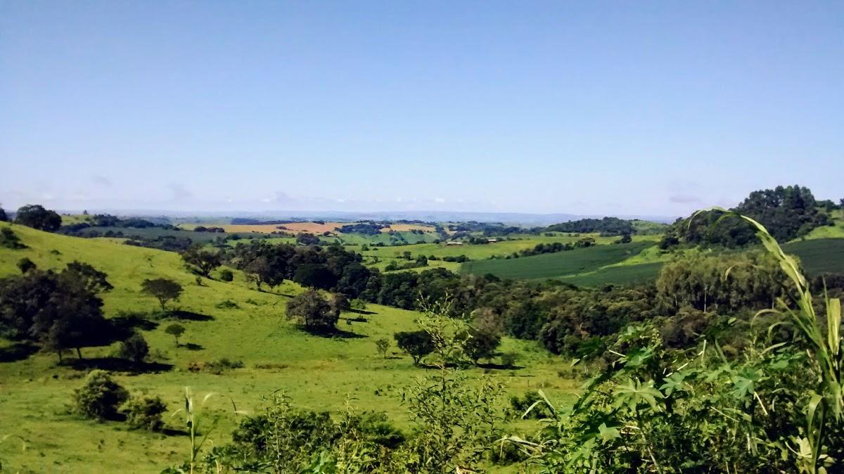 Registro de marca em Laranjal, Paraná