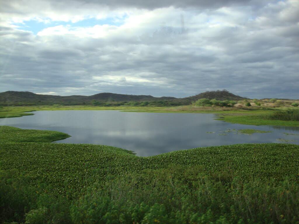 Registro de marca em Lastro, Paraíba