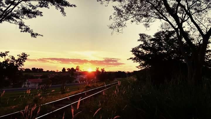 Registro de marca em Lavínia, São Paulo