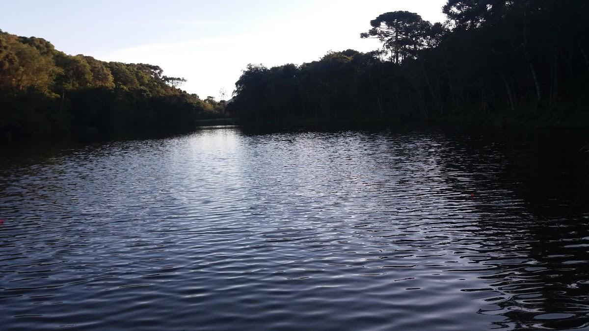 Registro de marca em Lebon Régis, Santa Catarina