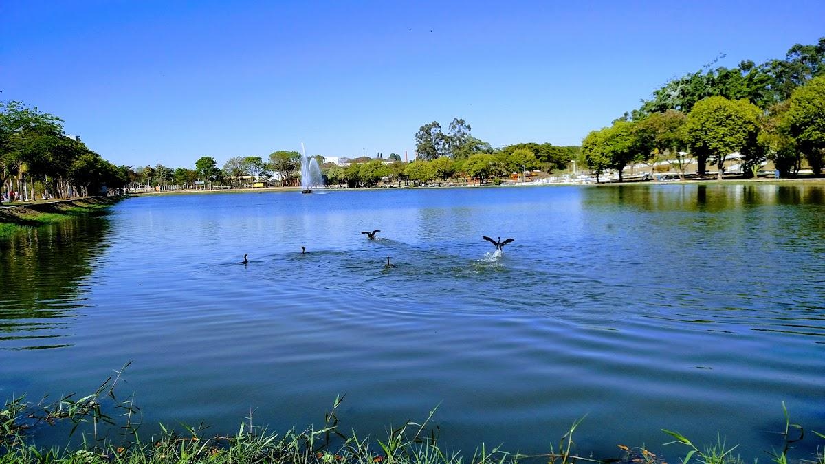 Registro de marca em Leme, São Paulo
