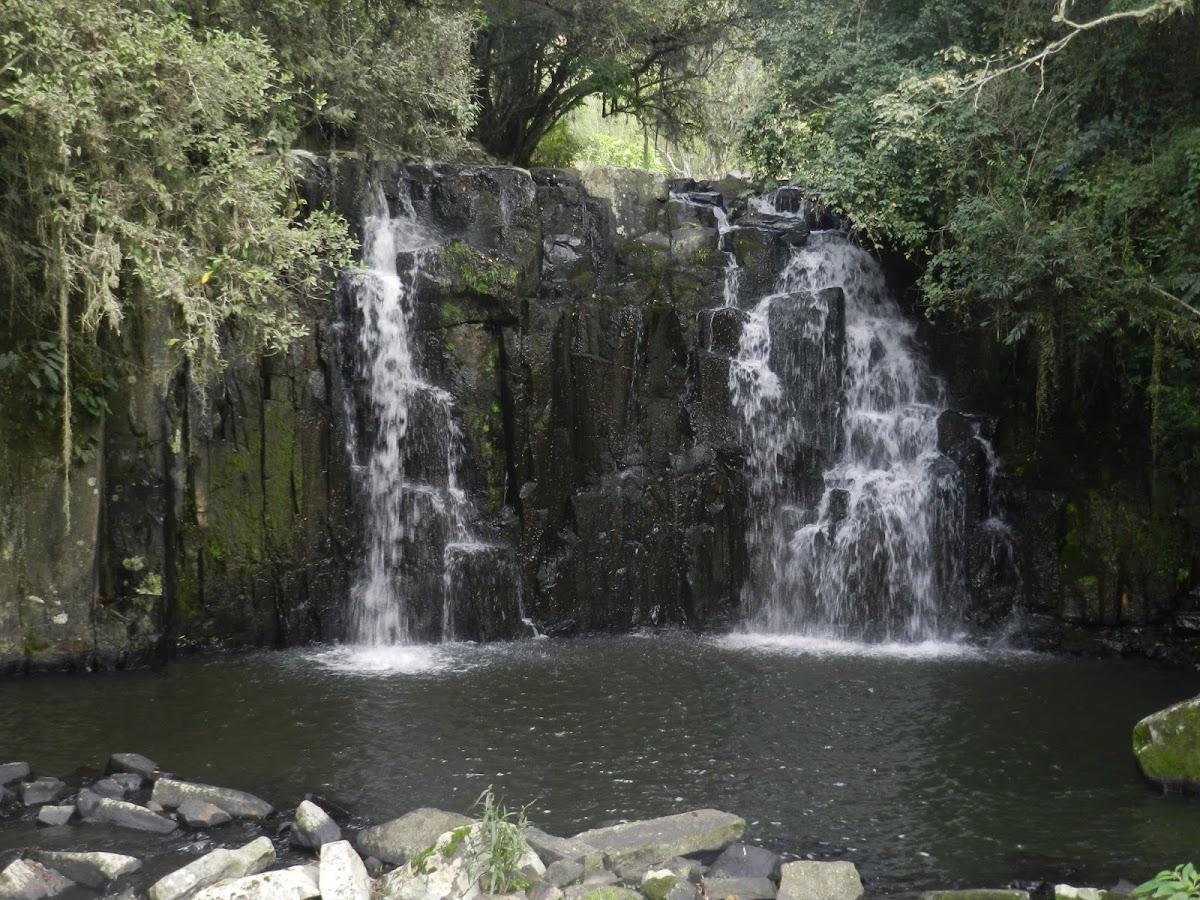 Registro de marca em Leoberto Leal, Santa Catarina