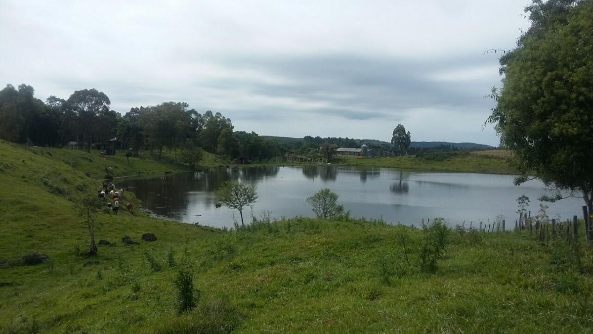 Registro de marca em Lindóia do Sul, Santa Catarina