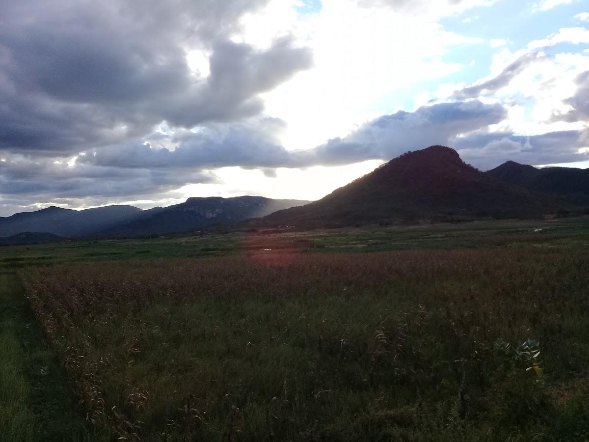 Registro de marca em Lucrécia, Rio Grande do Norte