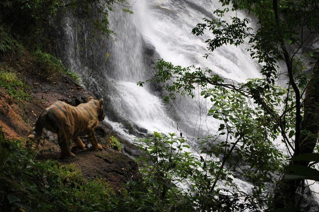 Registro de marca em Machadinho, Rio Grande do Sul