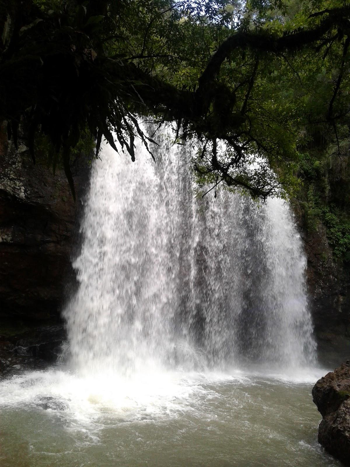 Registro de marca em Macieira, Santa Catarina