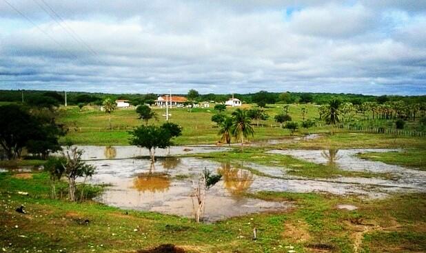 Registro de marca em Madalena, Ceará